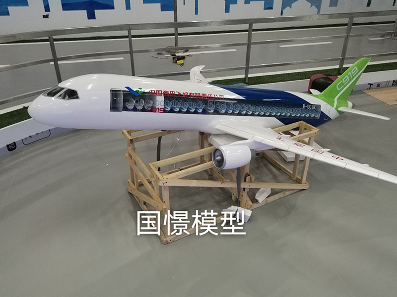 安义县飞机模型
